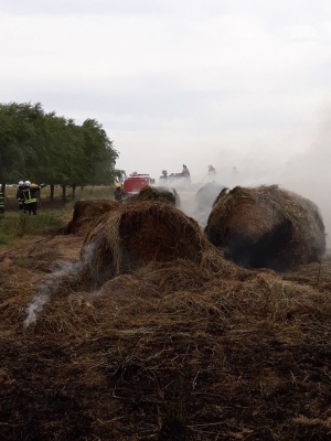 Armstrong: incendio de rollos de fardo en zona rural