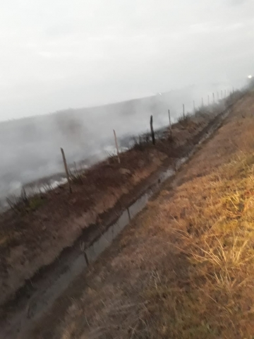 Leones: incendio rural a raíz de una quema controlada