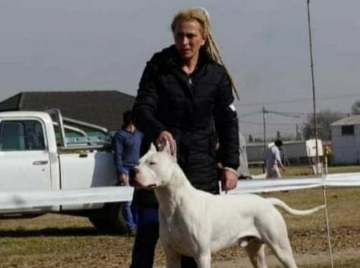 Cría Dogos Argentinos hace 11 años y ganó en competencias mundiales
