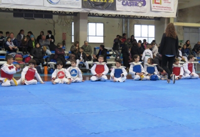 Asociación Marcosjuarense de Taekwondo logró 14 medallas de oro y 7 de plata 