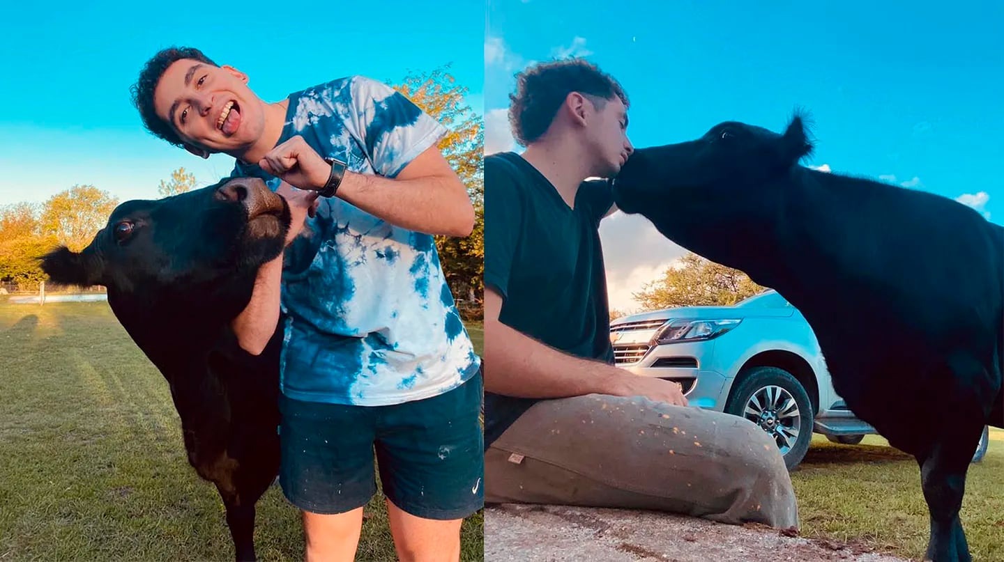 Facundo le salvó la vida a una ternerita que ahora es su mascota: “Es mi perro vaca”