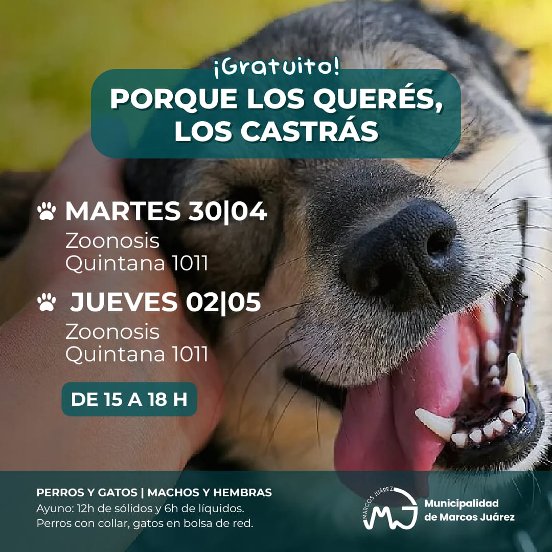 Martes 30 de abril y jueves 2 de mayo son las jornadas de castraciones masivas y gratuitas