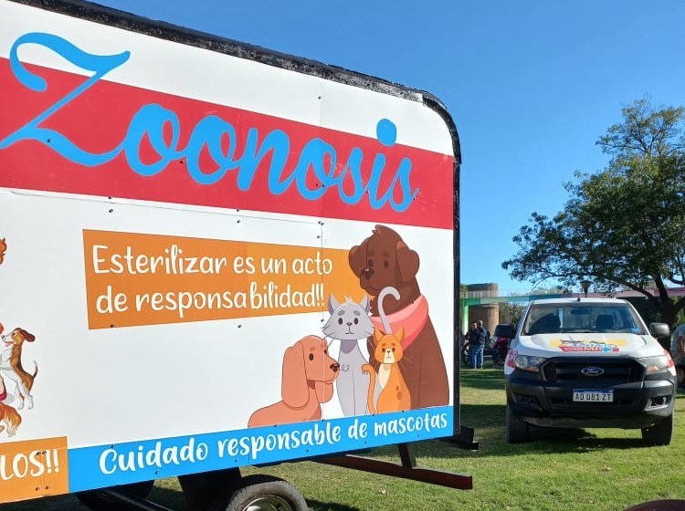 3500 animales esterilizados en el control poblacional de perros y gatos