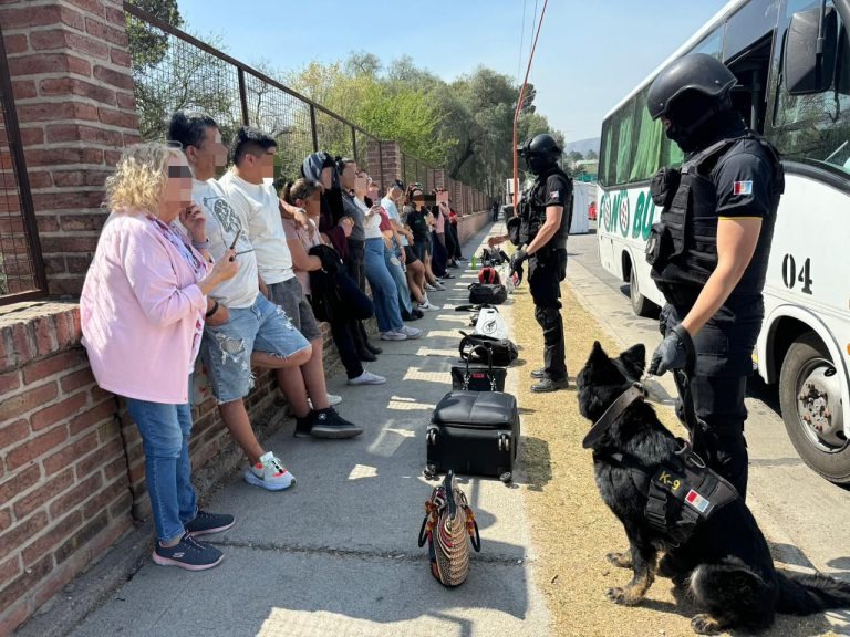 FPA realizó 99 procedimientos con secuestro de marihuana y cocaína en el operativo primavera