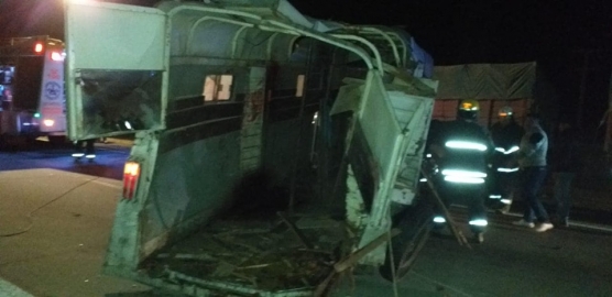 Tortugas: accidente entre dos camiones donde uno trasladaba equinos