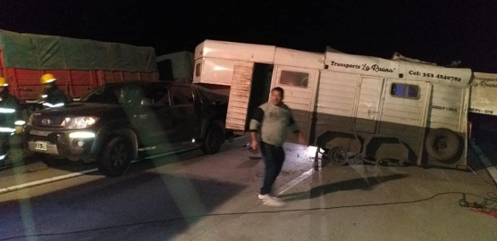 Tortugas: accidente entre dos camiones donde uno trasladaba equinos