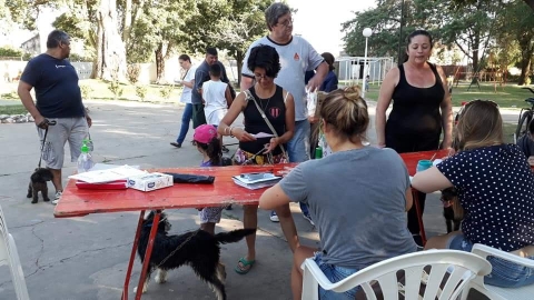 Concluyó la campaña de vacunación antirrábica en Armstrong