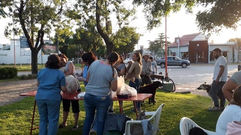 Concluyó la campaña de vacunación antirrábica en Armstrong