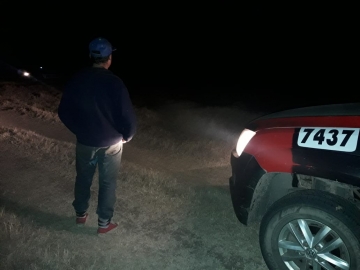 Se fugaron tras caminar con animales bovinos en vía pública 