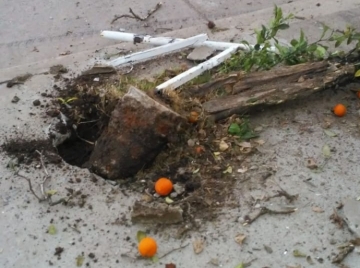 Chocó con su auto y arrancó una planta de patrimonio cultural en Armstrong
