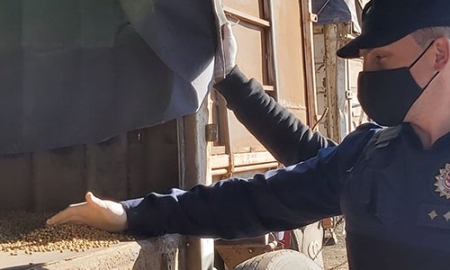 Esclarecen robo de 20 mil kilos de soja al norte de Leones