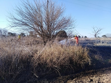 Incendio de pastizales sobre vías férreas
