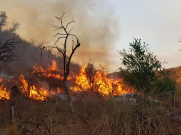Bomberos de la zona concurren a incendios en Alpa Corral