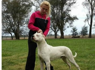 Cría Dogos Argentinos hace 11 años y ganó en competencias mundiales