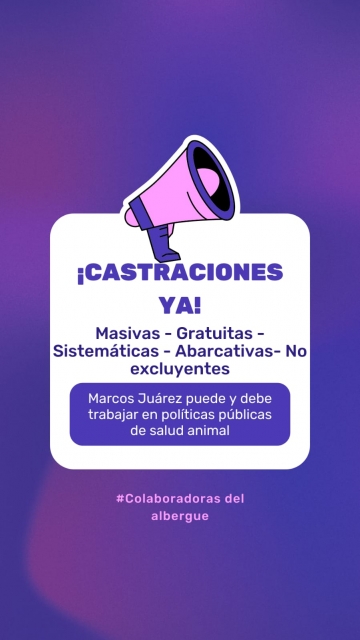 Colaboradoras del Albergue de Marcos Juárez buscan implementar una castración masiva abarcativa