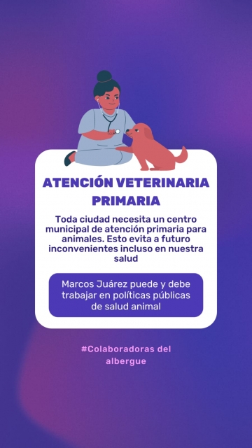 Colaboradoras del Albergue de Marcos Juárez buscan implementar una castración masiva abarcativa
