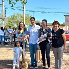 306 árboles plantados con el programa “Plantando Vida” en un año