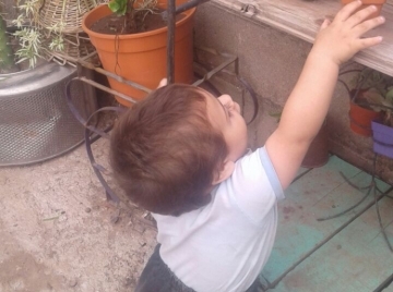 Envianos tu foto, video o mensaje de audio a nuestras líneas