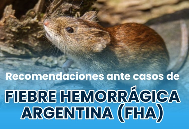 Alerta sanitaria por casos de Fiebre Hemorrágica Argentina en Córdoba: refuerzan la vacunación en Marcos Juárez