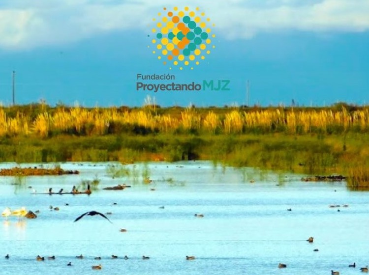 La naturaleza en foco, se viene la tercera muestra fotográfica en la Reserva Posta del Espinillo