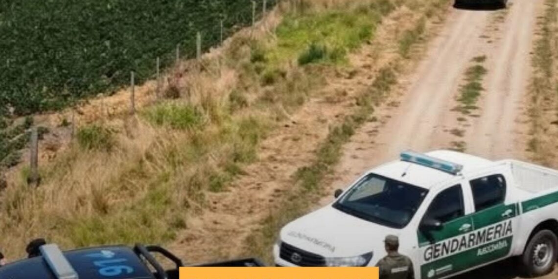 Gendarmería secuestró una avioneta con cocaína: hay dos detenidos entre Armstrong y Villa Eloisa
