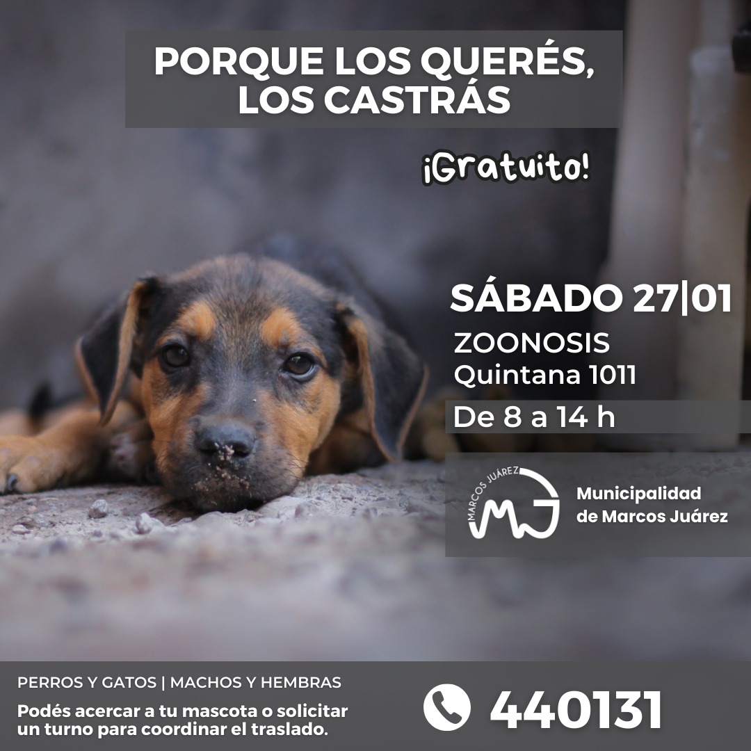 Próxima castración 2024: sábado 27 de enero