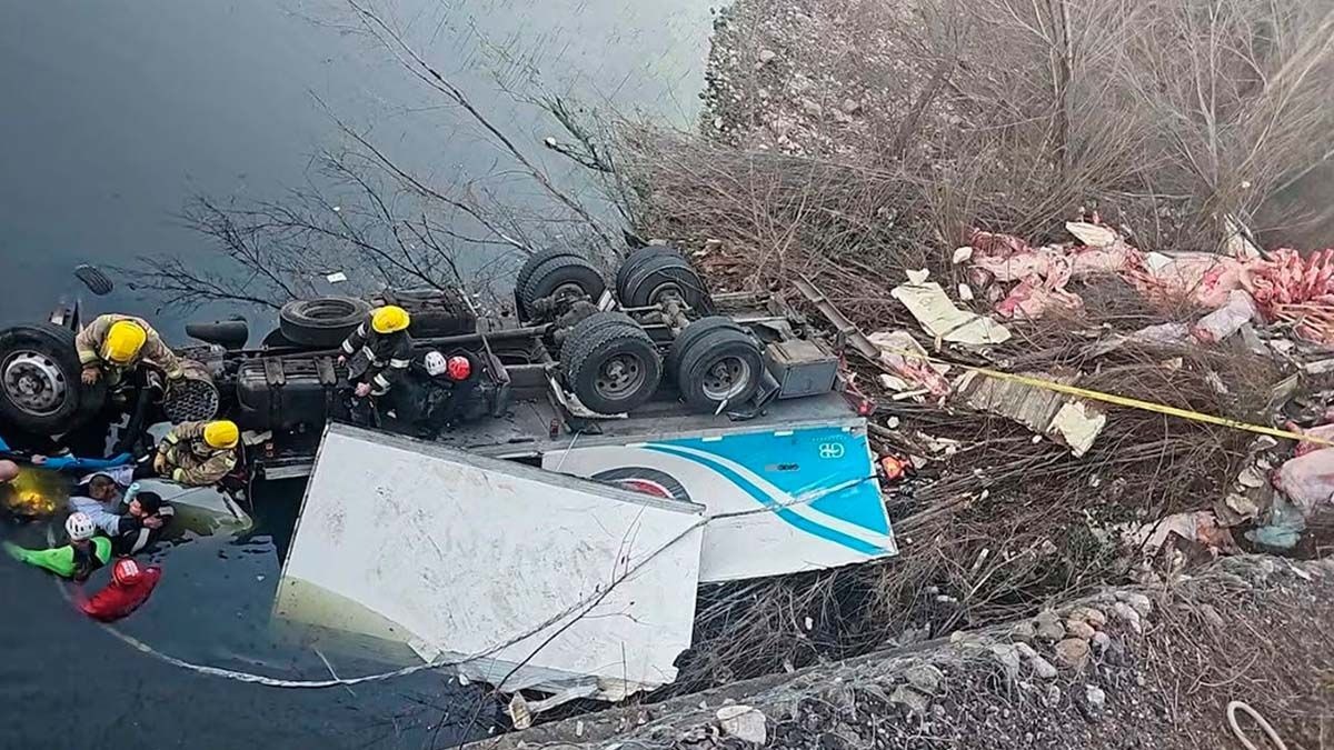 Tragedia en Potrero de Garay: un camión con cerdos cayó al río y murió el chofer