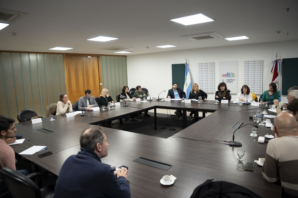 Acuerdo en comisión para actualizar el Colegio de Profesionales en Servicio Social provincial
