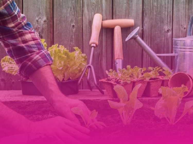 Comienza Curso Inicial de jardinería en Marcos Juárez