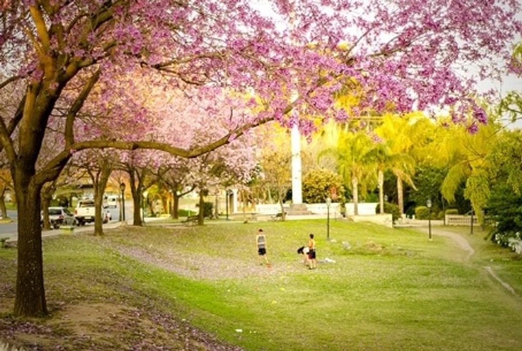 La última semana del invierno llega con temperaturas templadas y cielo nublado
