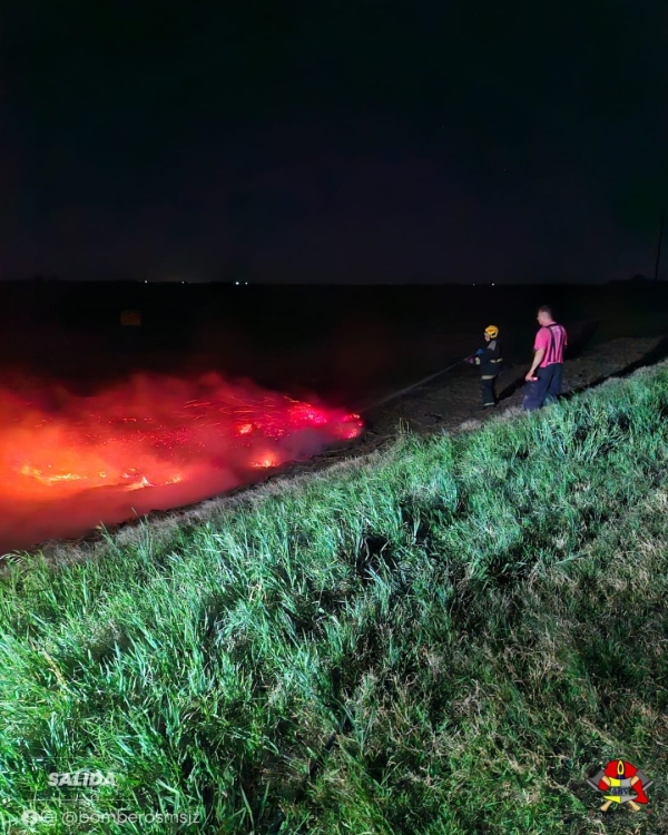 Incendio de pastos a la altura del kilómetro 46 de la Ruta 12: intervención rápida de los bomberos evitó su propagación