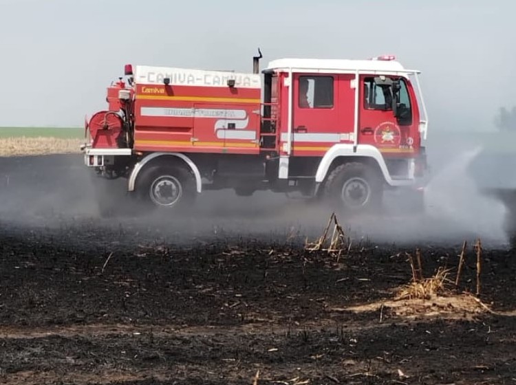 Bomberos de Marcos Juárez controlaron un incendio rural 12 kilómetros al sur de la ciudad
