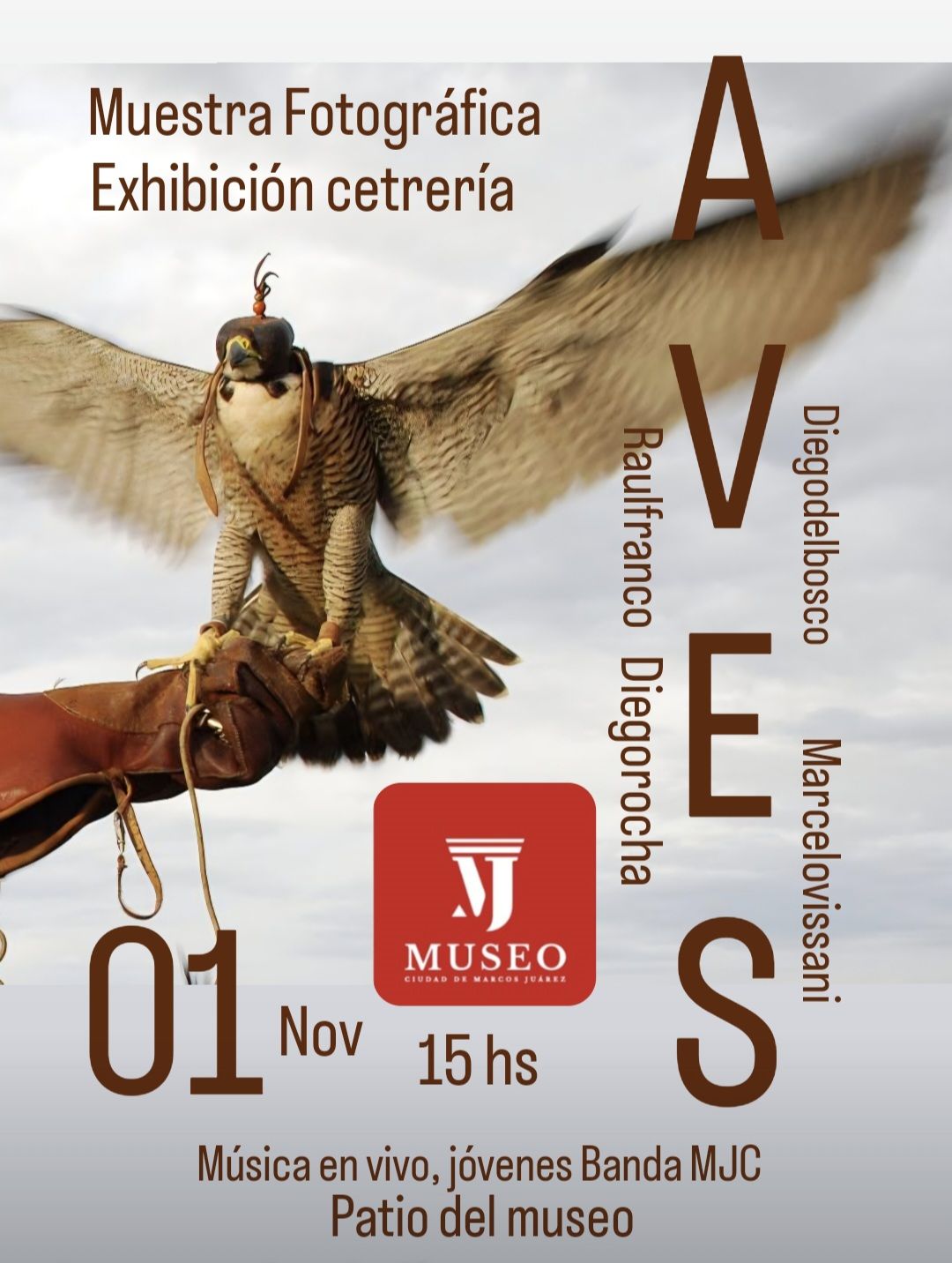 Diego del Bosco: “La fotografía de aves es un mundo apasionante y sin límites”