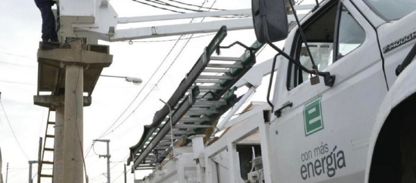 Poda en zonas con tendido eléctrico: intervención exclusiva de EPEC