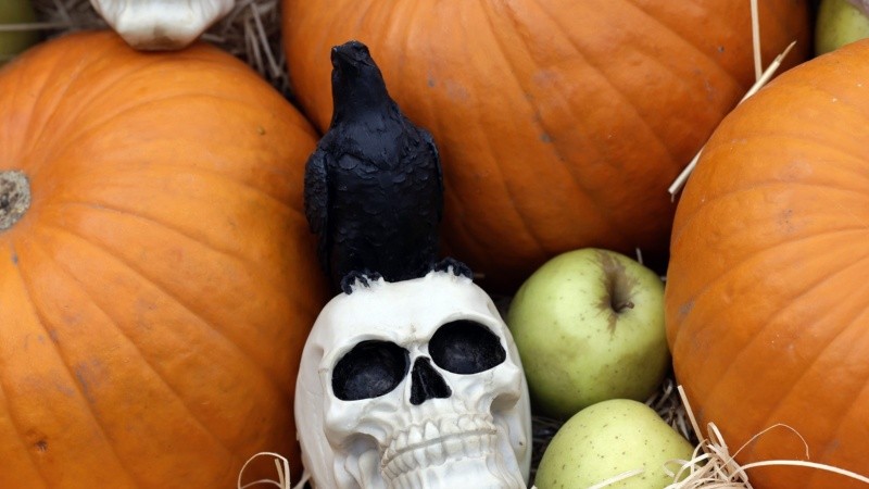 Por qué Argentina se enamoró de Halloween: un análisis de la adopción cultural impulsada por el consumo