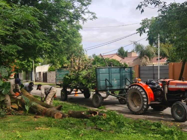 Tras la tormenta la Municipalidad de Marcos Juárez implementó operativo de limpieza