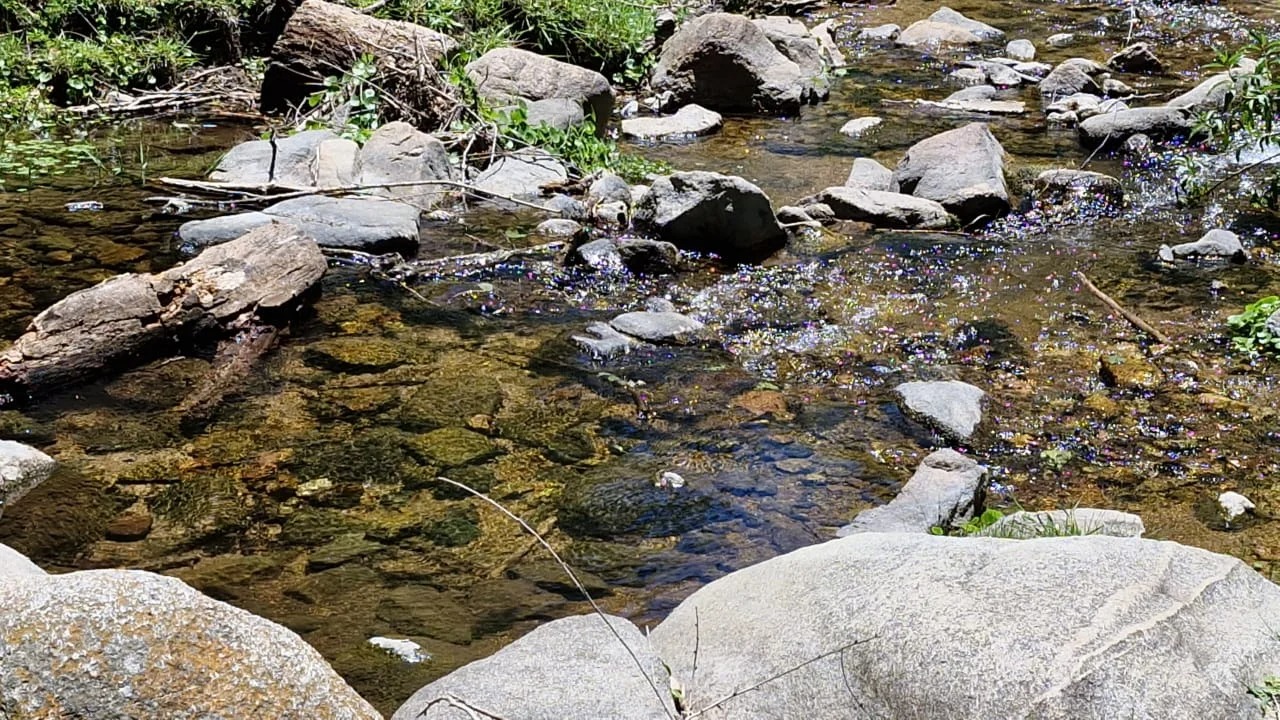 Fin de semana XXL imparable: Córdoba recibió más de 320.000 turistas y duplicó el impacto económico del año pasado