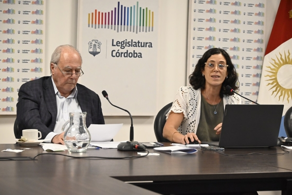 La Comisión de Economía de la Legislatura analizó la Cuenta de Inversión 2024
