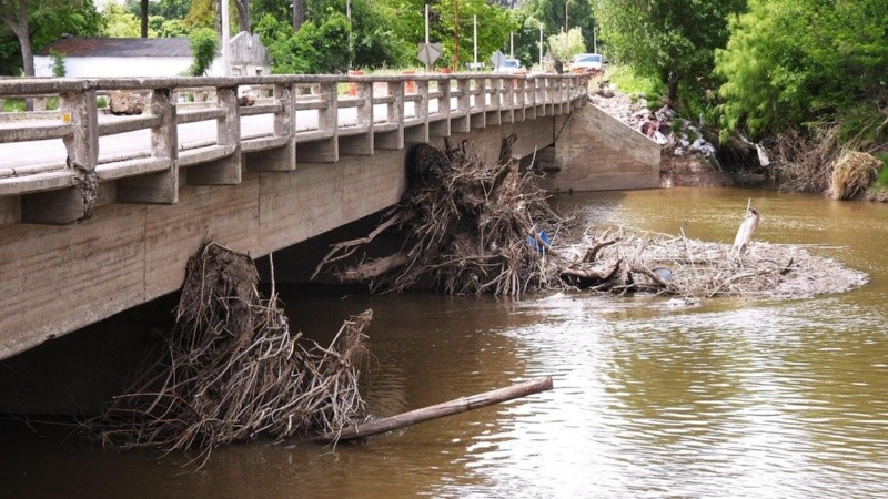 Clausura del puente de la ruta 9 sobre el Carcarañá: Comenzarán por la limpieza del cauce del río para disminuir la presión sobre la estructura
