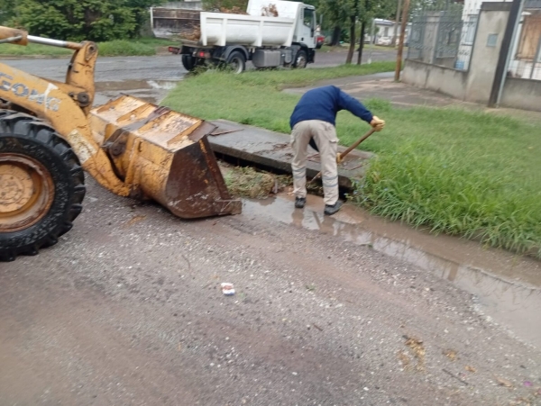 Arboles caídos y recolección de ramas tras el fuerte viento y tormenta en Marcos Juárez