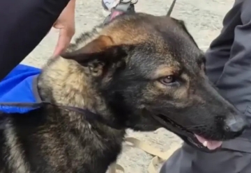 Yamal participación clave en la desaparición de la pequeña Esmeralda