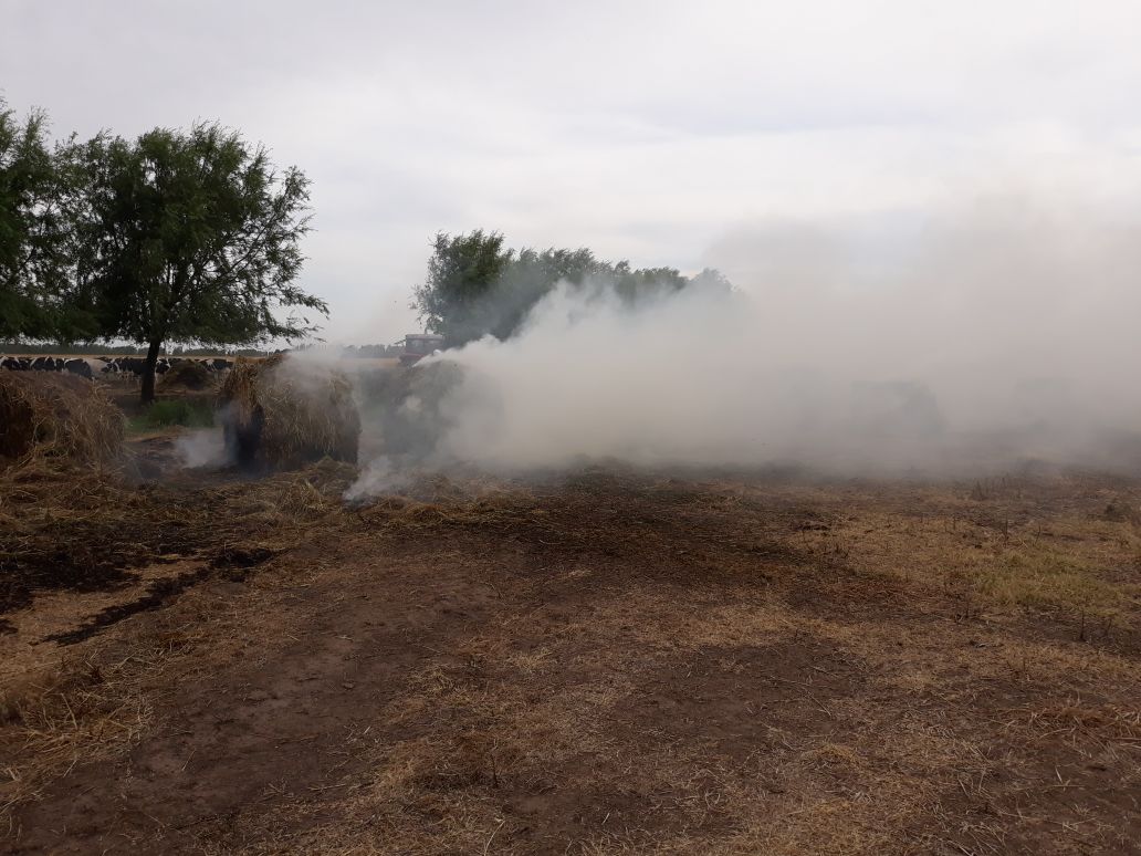 Armstrong: incendio de rollos de fardo en zona rural