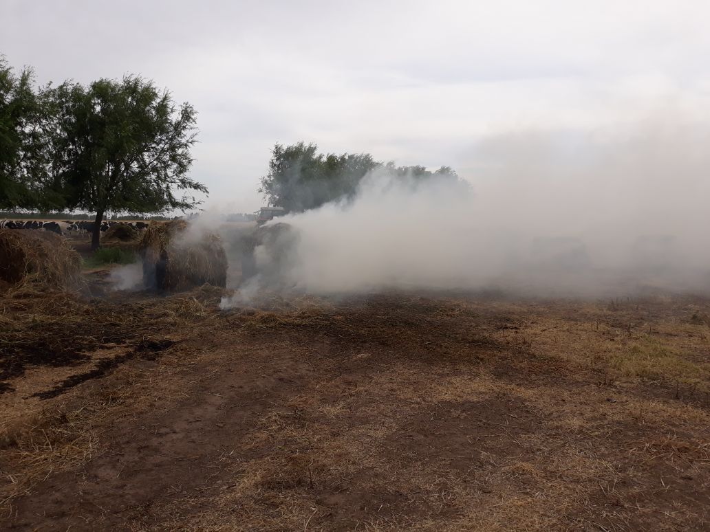 Armstrong: incendio de rollos de fardo en zona rural