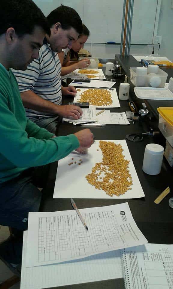 Se abre la inscripción para el Curso de Perito Clasificador de Cereales en Marcos Juárez 2025