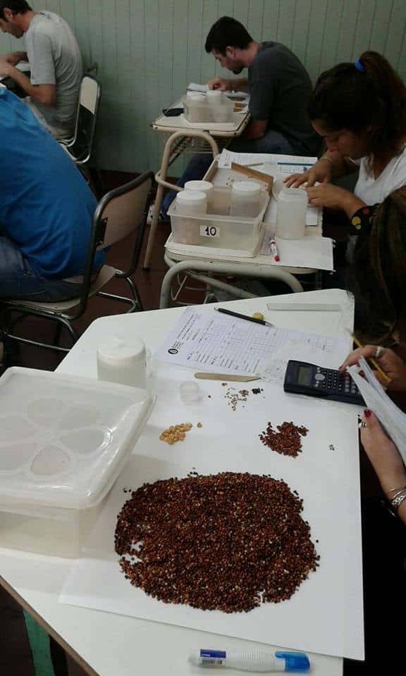 Se abre la inscripción para el Curso de Perito Clasificador de Cereales en Marcos Juárez 2025