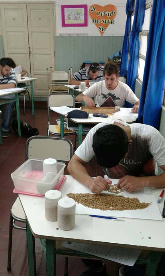 Se abre la inscripción para el Curso de Perito Clasificador de Cereales en Marcos Juárez 2025