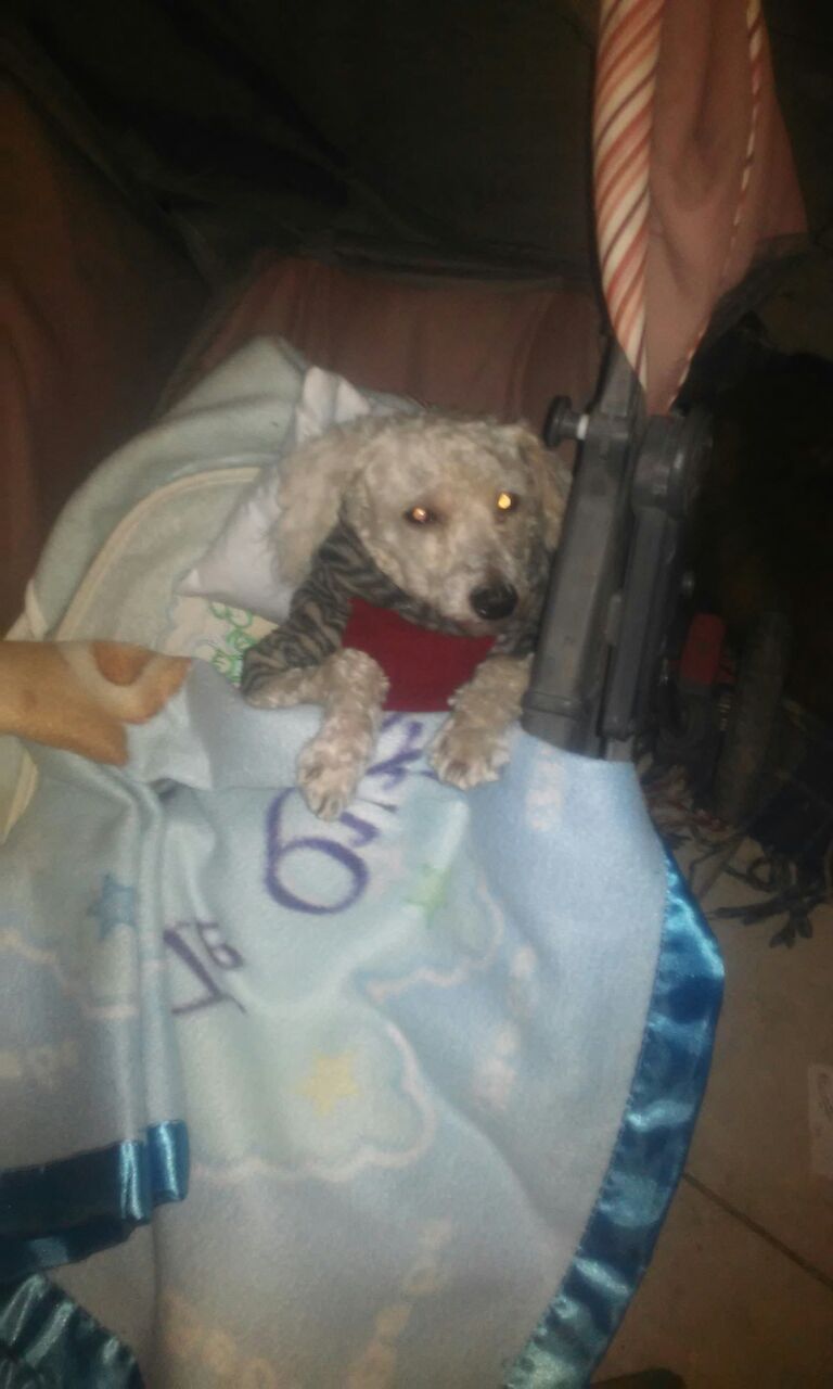 Festejamos el Día del Amigo junto a vos !