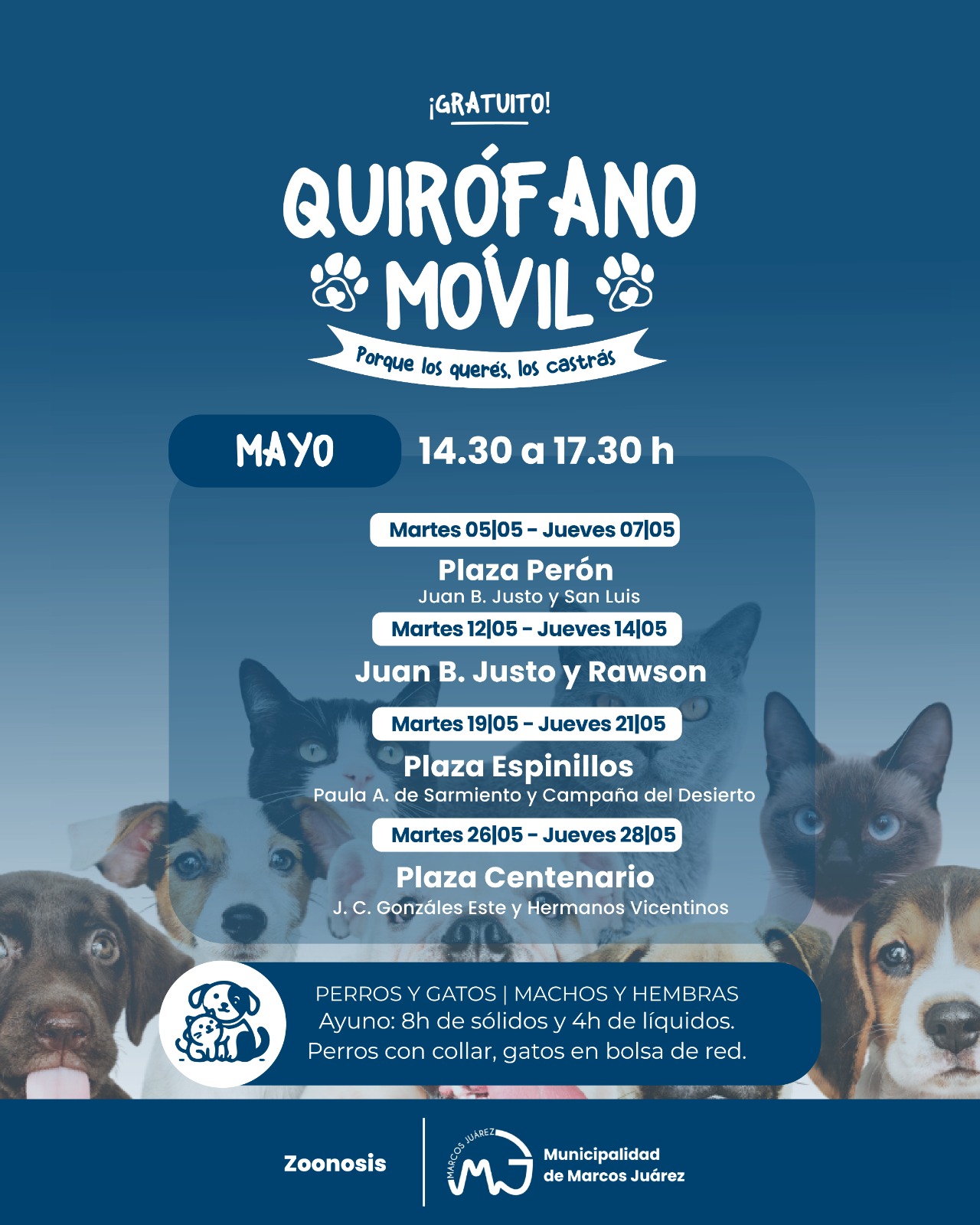 Salud Pública: Cronograma de Vacunación Antirrábica y Castraciones en Marcos Juárez