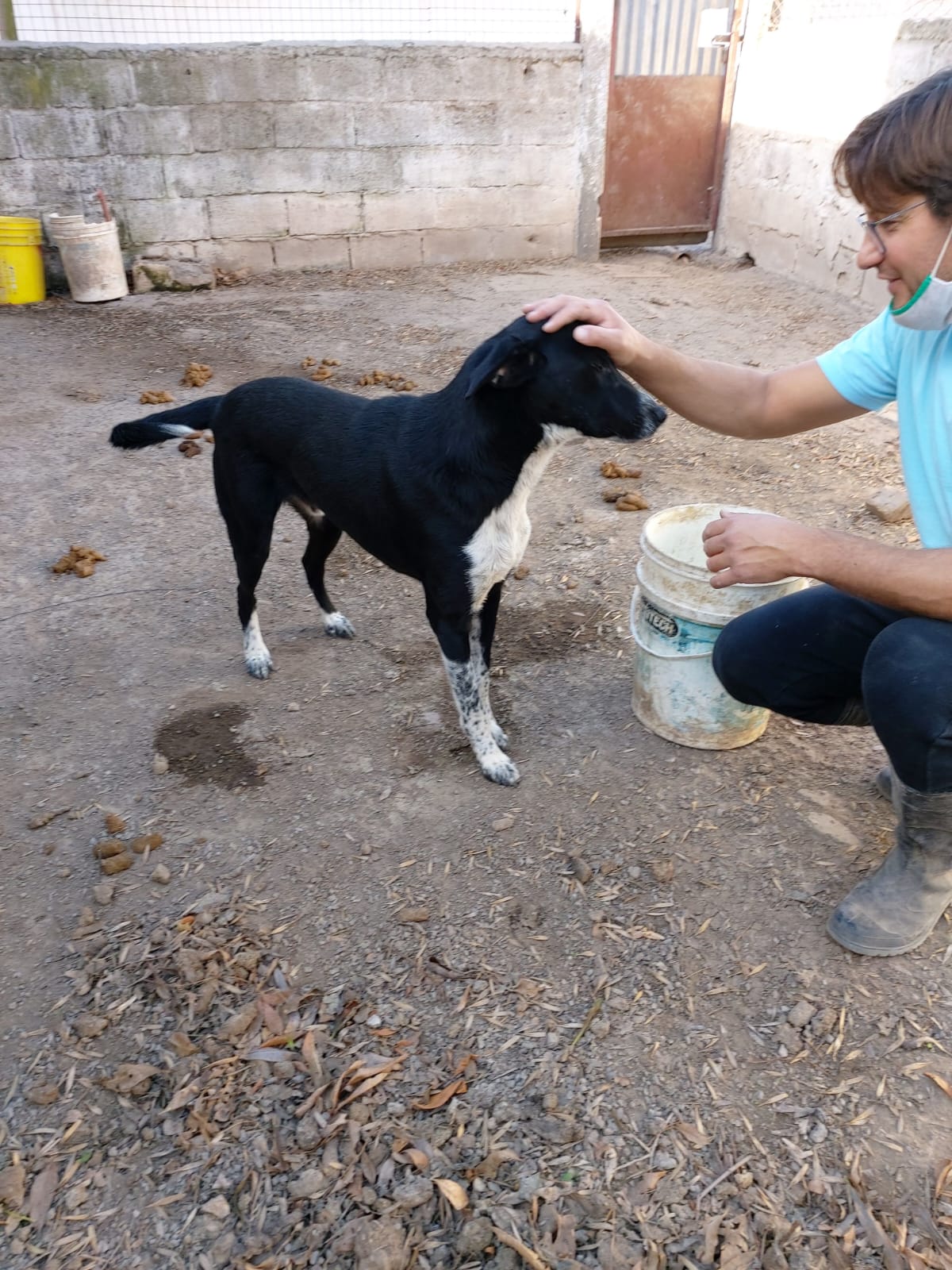 Córdoba Cerca Tuyo llega este fin de semana con vacunación y prevención sobre leptospirosis