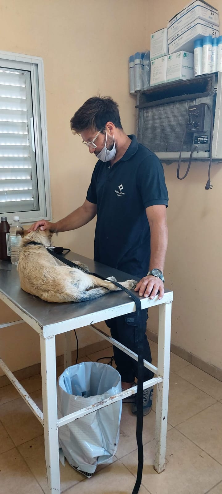 Córdoba Cerca Tuyo llega este fin de semana con vacunación y prevención sobre leptospirosis
